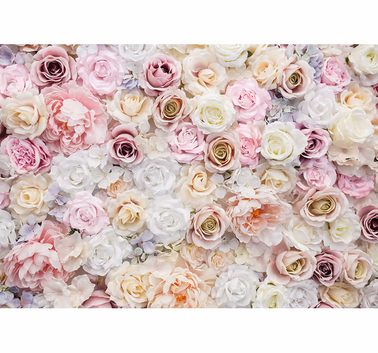 Fototapete blumen rosenblüten kollektion - TenStickers