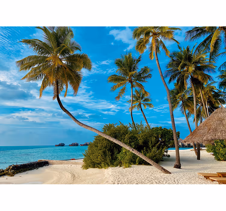 Fototapete natur tropisches palmenlandschaft - TenStickers