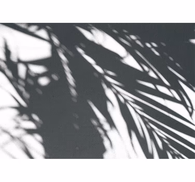 Fototapete natur schattenhafte palm-muster - TenStickers