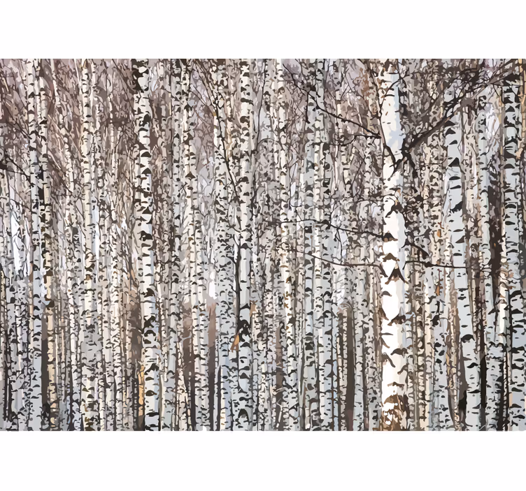 Fototapete baum birkenwald - TenStickers