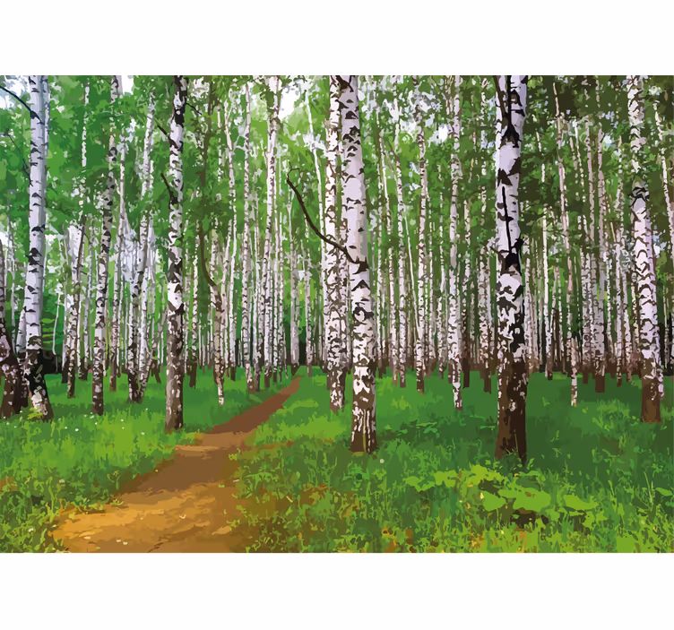 Fototapete natur birkenswaldweg - TenStickers