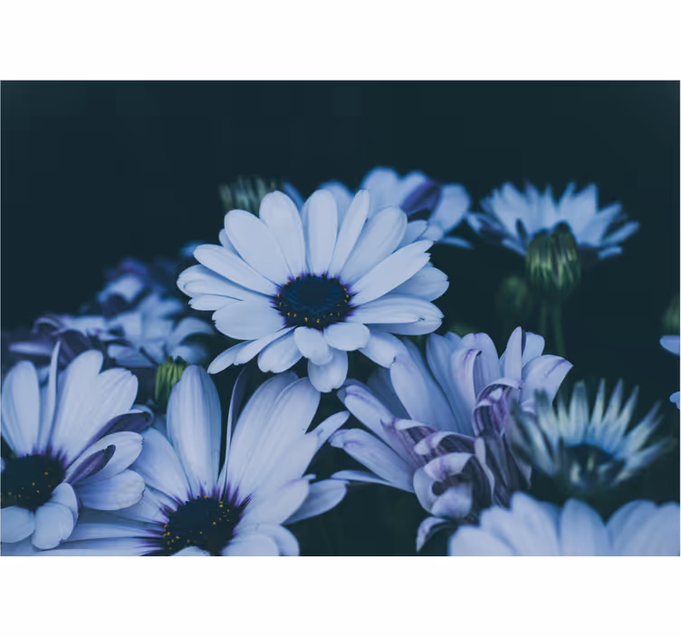 Fototapete blumen ruhiges florales arrangement - TenStickers