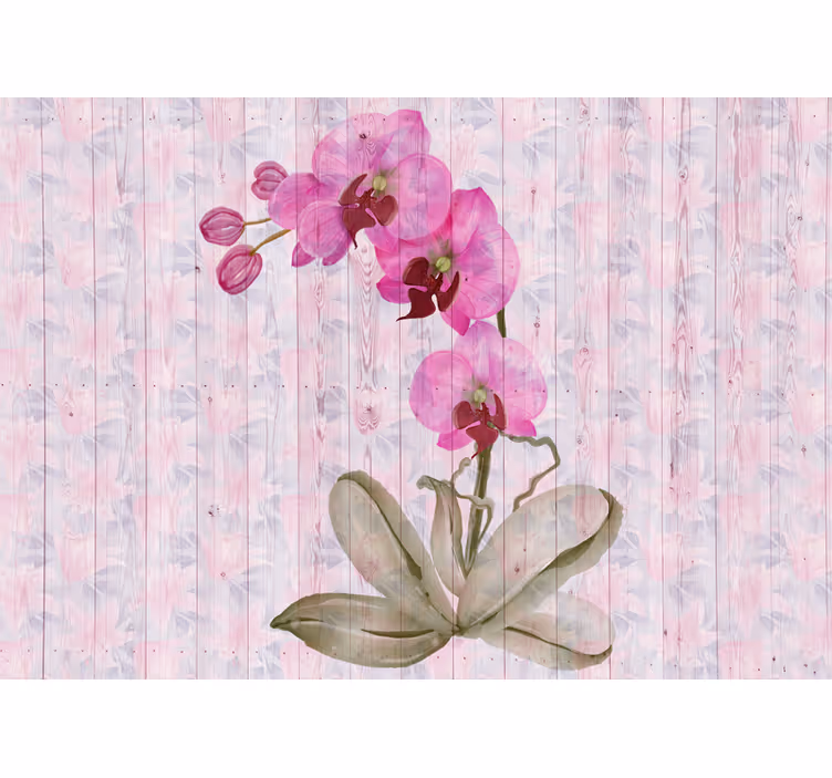 Fototapete blumen pinke orchideenblüten - TenStickers