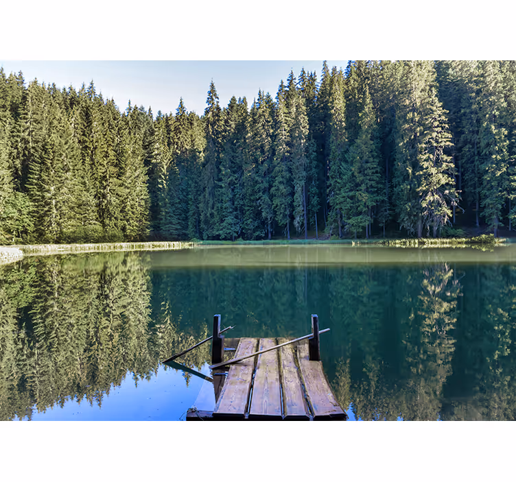 Fototapete natur ruhige waldreflexion - TenStickers