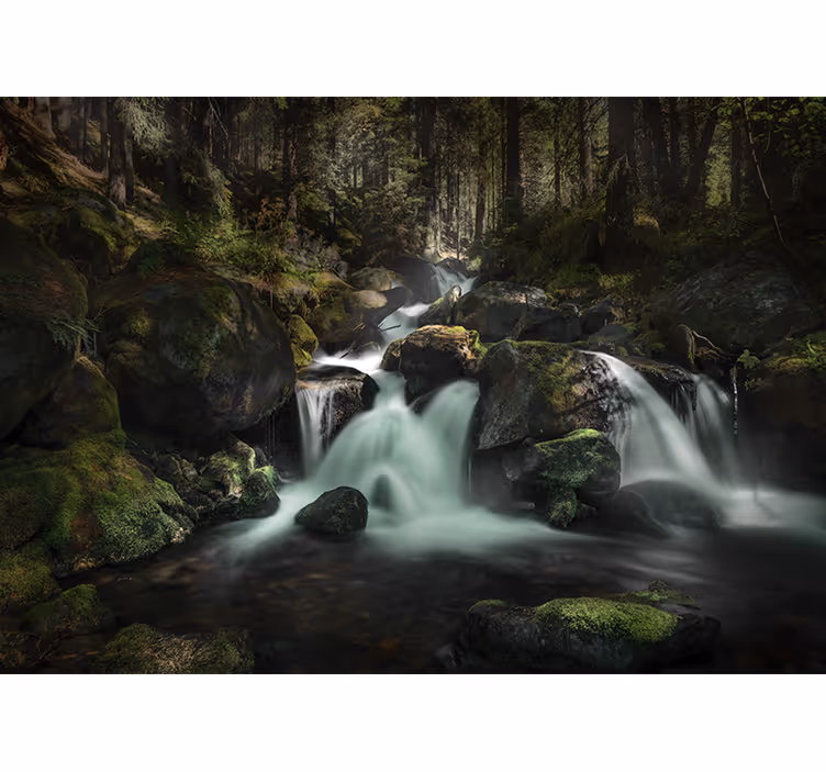 Fototapete wasserfall ruhiger waldfluss - TenStickers