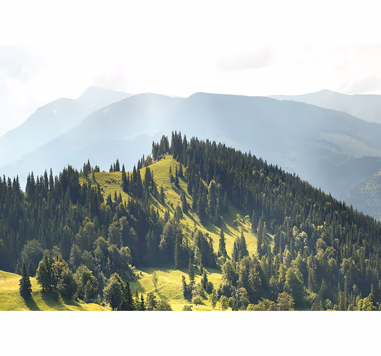 Fototapete landschaft bergwald szene - TenStickers
