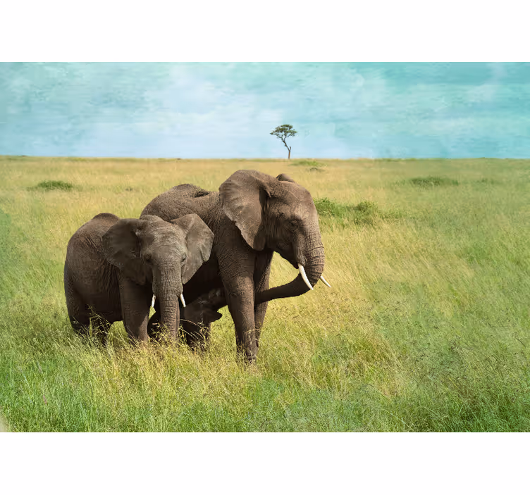 Fototapete tiere elefanten im grasland - TenStickers