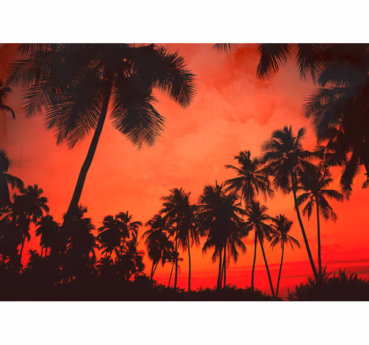 Fototapete natur silhouette von palmen - TenStickers