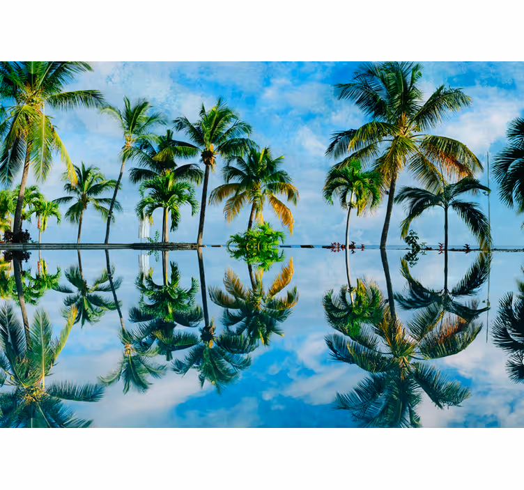 Fototapete natur üppige palmenreflexionen - TenStickers
