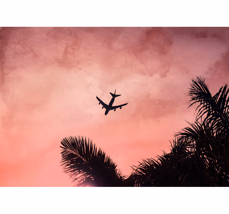 Fototapete fahrzeuge flugzeugsilhouette bei dämmerung - TenStickers