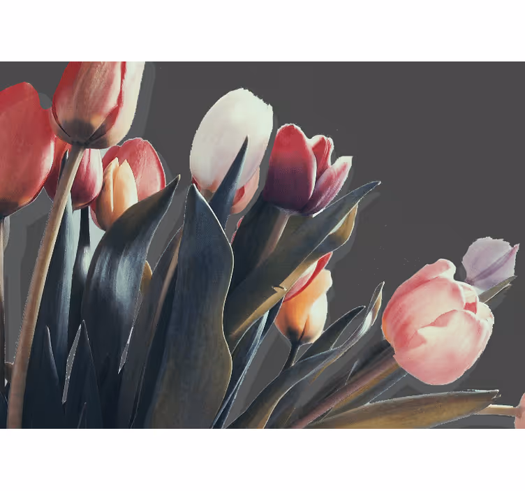Fototapete blumen tulpenblütenanzeige - TenStickers