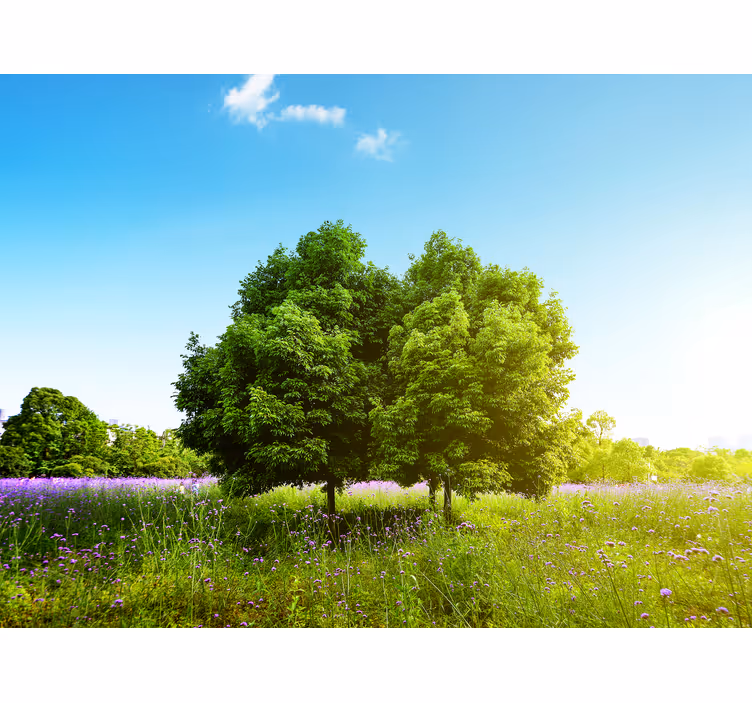 Fototapete natur üppige grüne bäume - TenStickers