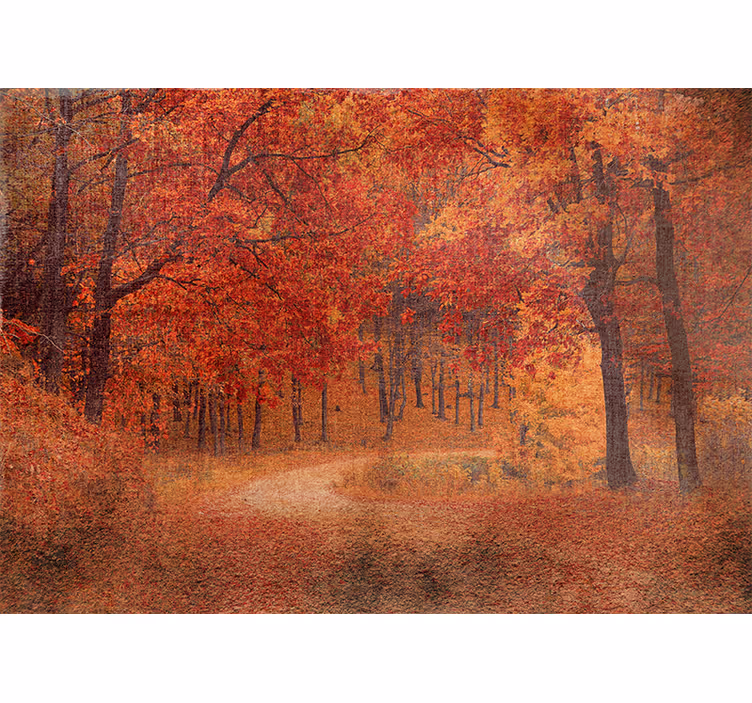 Fototapete natur rustikaler herbstweg - TenStickers