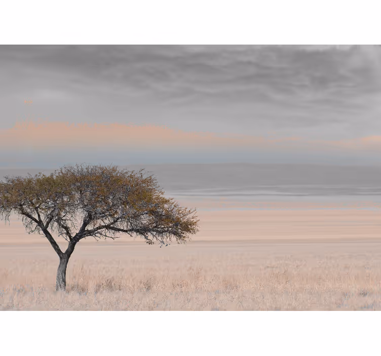 Fototapete wald einsame baumlandschaft - TenStickers