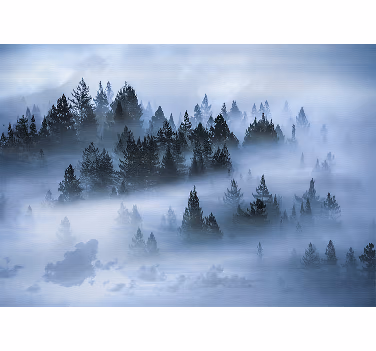 Fototapete natur nebeliger immergrüner wald - TenStickers