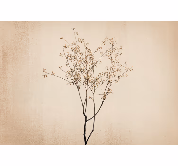 Fototapete blumen zarte blumenäste - TenStickers
