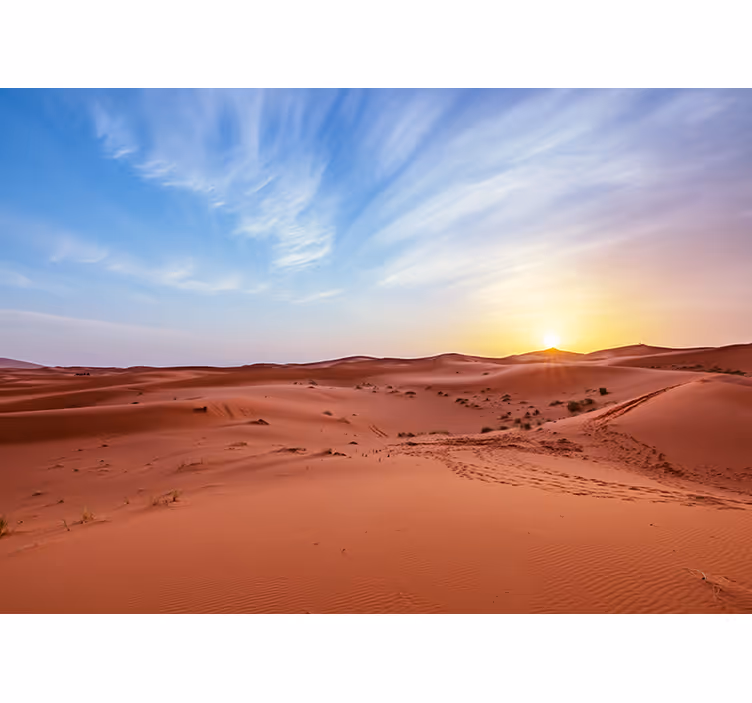 Fototapete wüste goldener wüstensonnenuntergang - TenStickers