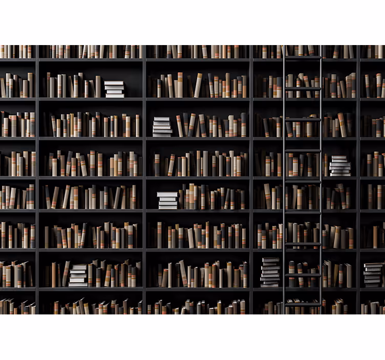 Fototapete steinoptik bibliotheksbuchsortiment - TenStickers