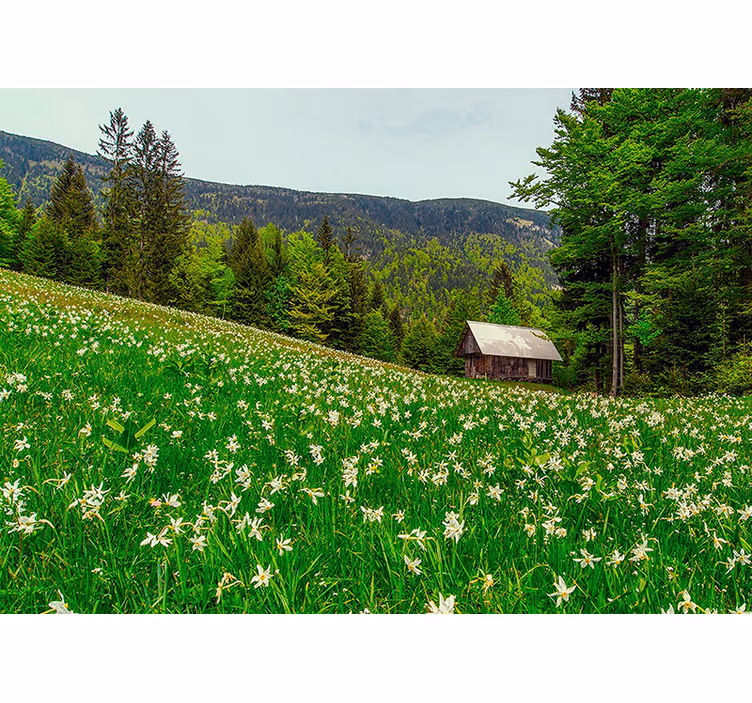 Fototapete natur ruhige landschaft der idylle - TenStickers