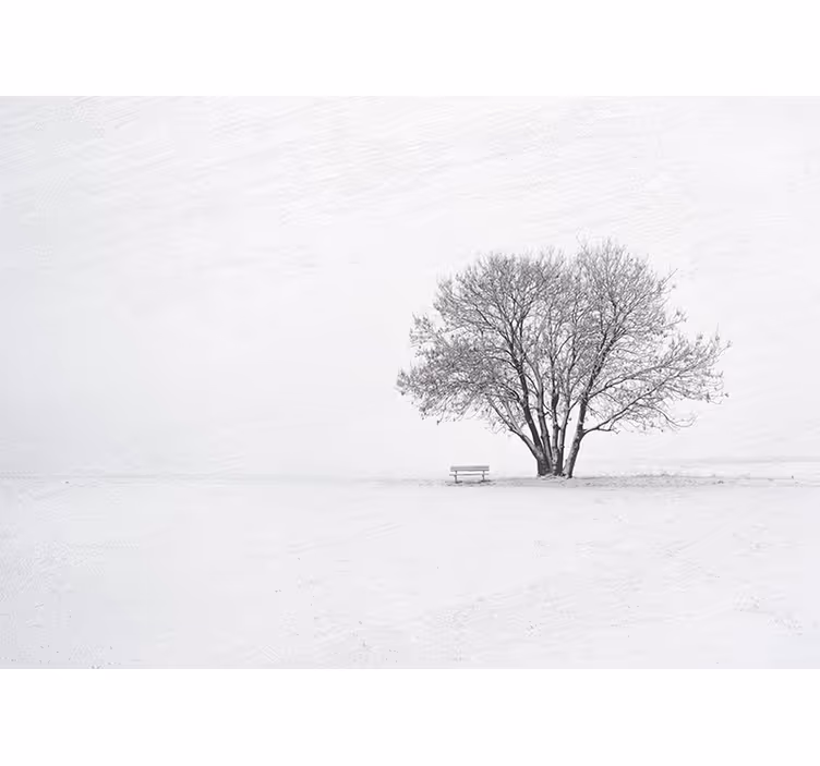Fototapete natur einsamer verschneiter baum - TenStickers