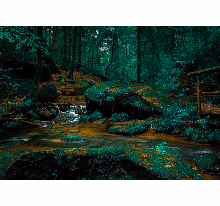 Fototapete wald ruhiger waldfluss - TenStickers