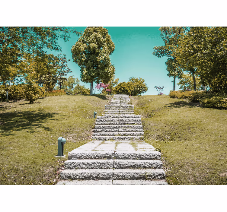 Fototapete wald treppe durch die natur - TenStickers