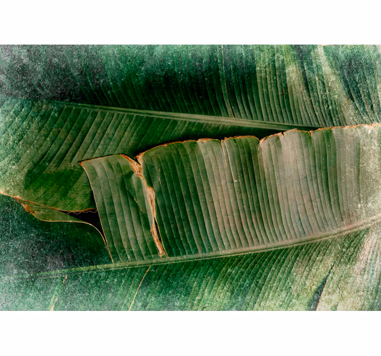 Fototapete natur mit lebendigem laub und tieren - TenStickers