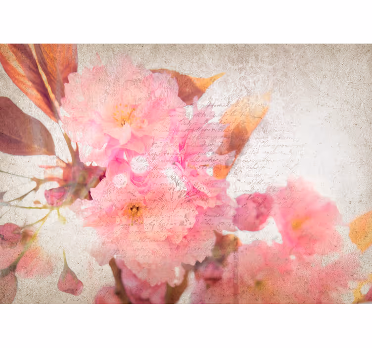 Fototapete blumen kirschblütenzauber - TenStickers