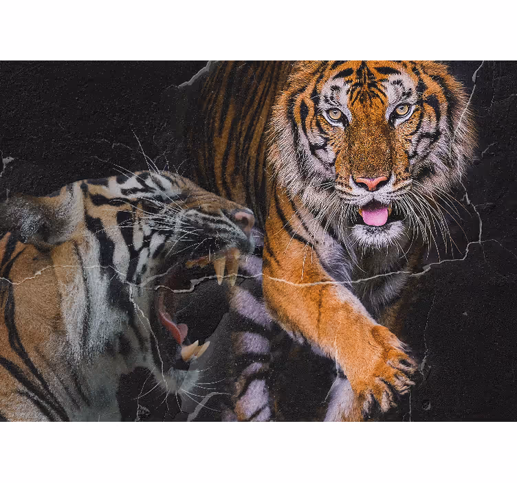 Fototapete tiere majestätisches tigererlebnis - TenStickers