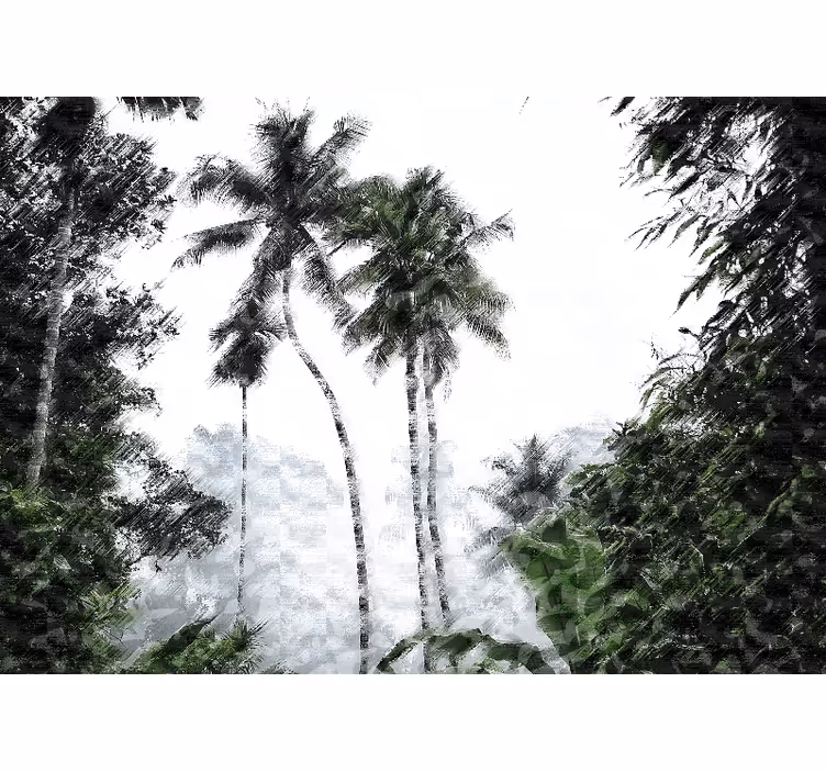 Fototapete natur palmenbaum ruhe - TenStickers