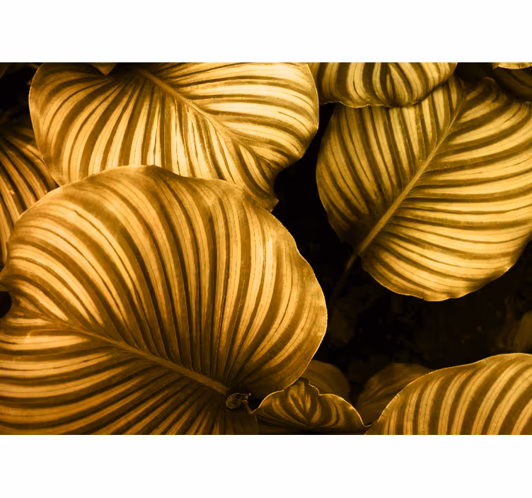 Fototapete blumen mit goldenen blättermustern - TenStickers