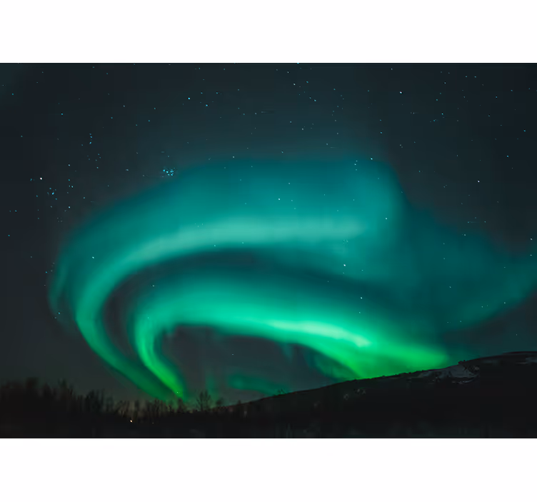 Fototapete wald aurora borealis ausstellung - TenStickers