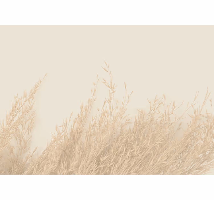Fototapete Natur sanfte graslandschaft - TenStickers