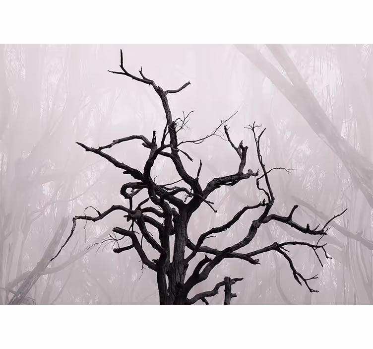 Fototapete baum mit filigraner astsilhouette - TenStickers