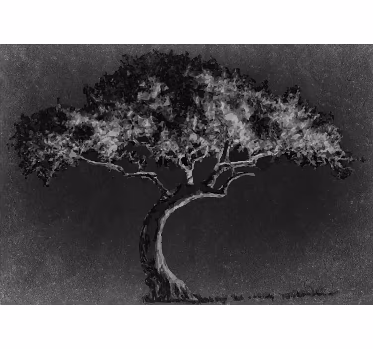 Fototapete baum elegante baum-silhouette - TenStickers