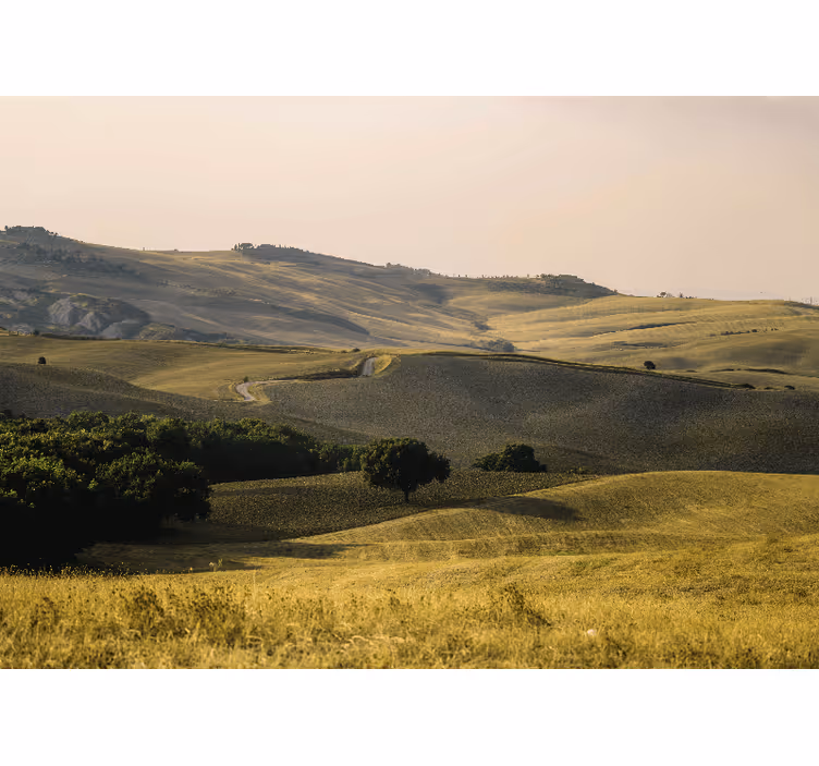 Fototapete landschaft sanfte hügel - TenStickers