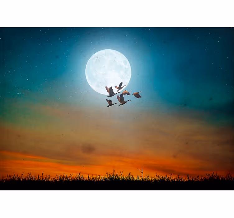 Fototapete natur mondlicht himmel flock - TenStickers