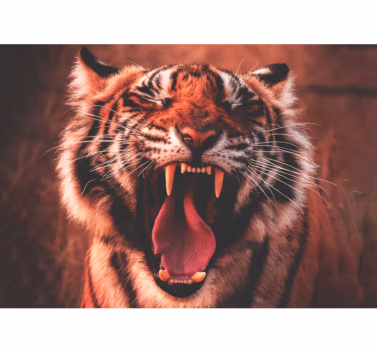 Fototapete tiere majestätischer tigerbrüller - TenStickers