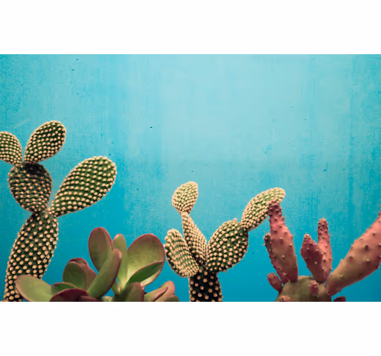 Fototapete Kakteen Wand mit blauem Hintergrund - TenStickers