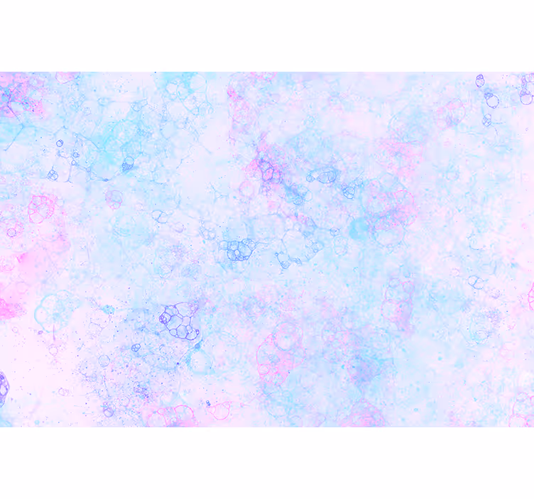 Fototapete 3D pink und blaue Blasen - TenStickers