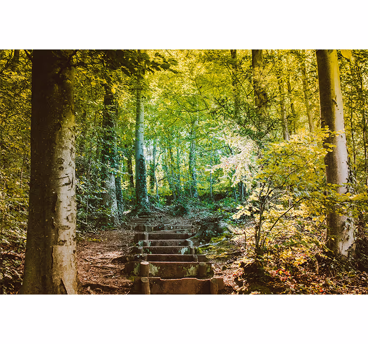 Tapete Wohnzimmer Natur Weg Treppen im Wald - TenStickers