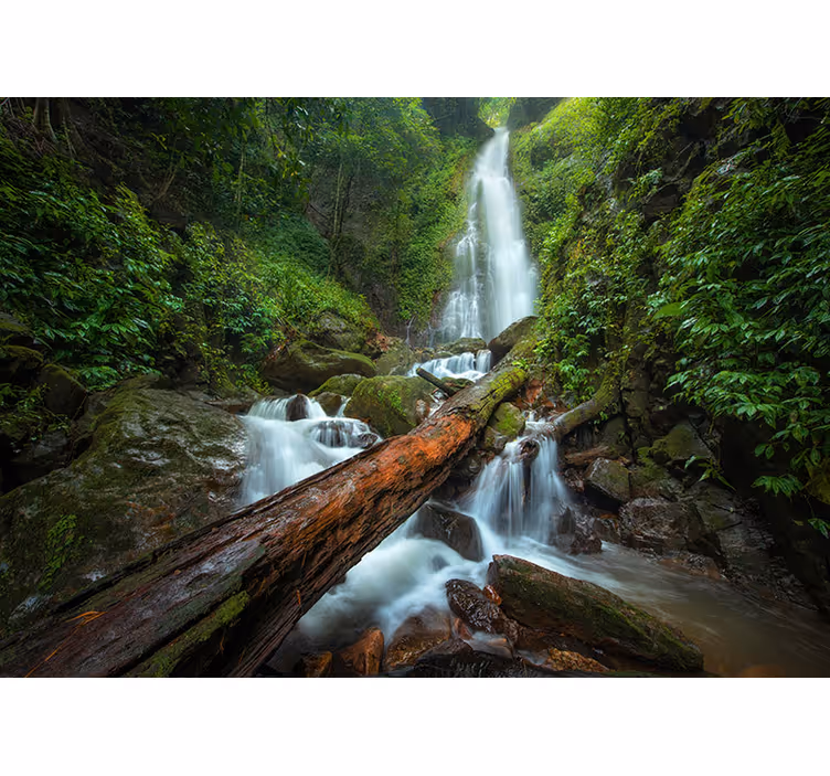 Wasserfall Fototapete ruhige Wasserfallkaskade - TenStickers