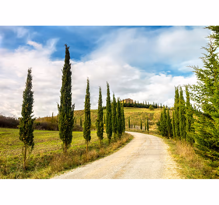 Fototapete Natur toskanische Landschaft - TenStickers
