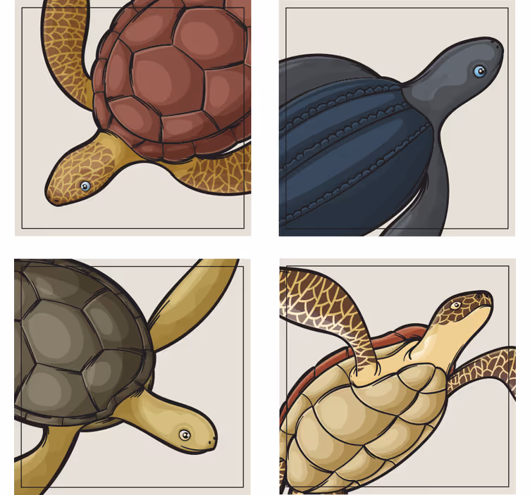 Untersetzer geek mit bunten schildkrötenillustrationen - TenStickers