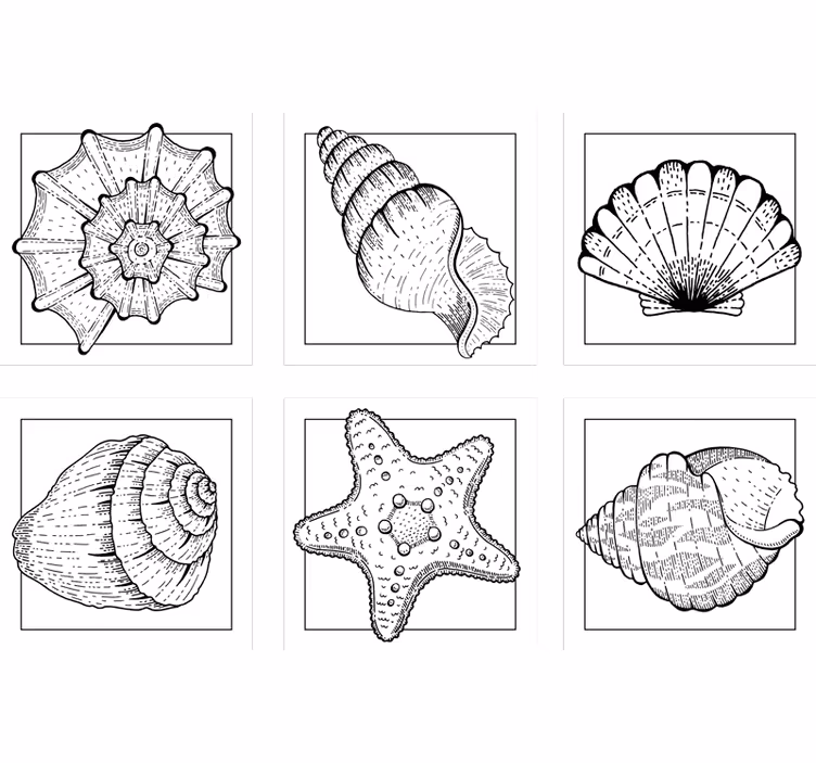Untersetzer mit filigranen muschelmustern - TenStickers