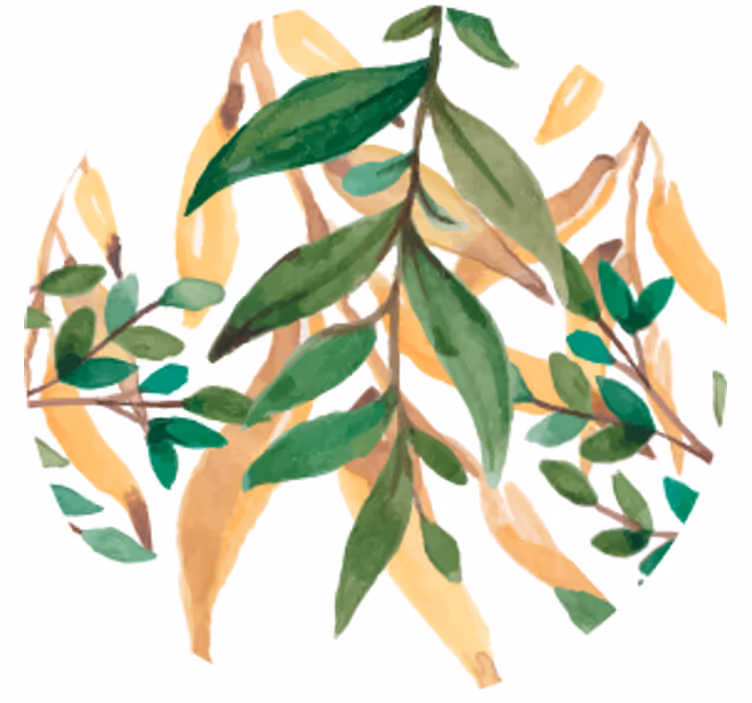 Bierdeckel mit blattgrünem botanischem design - TenStickers