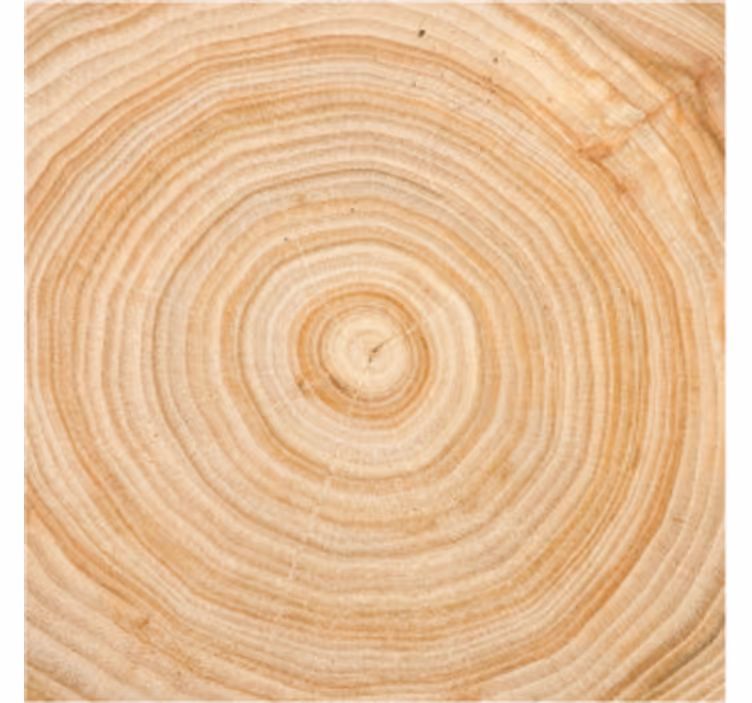 Untersetzer mit holzmaserung kreis - TenStickers