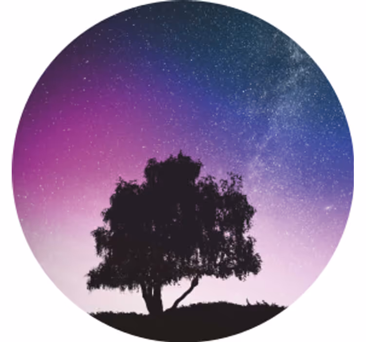 Untersetzer Modern Einsamer baum und meteor - TenStickers