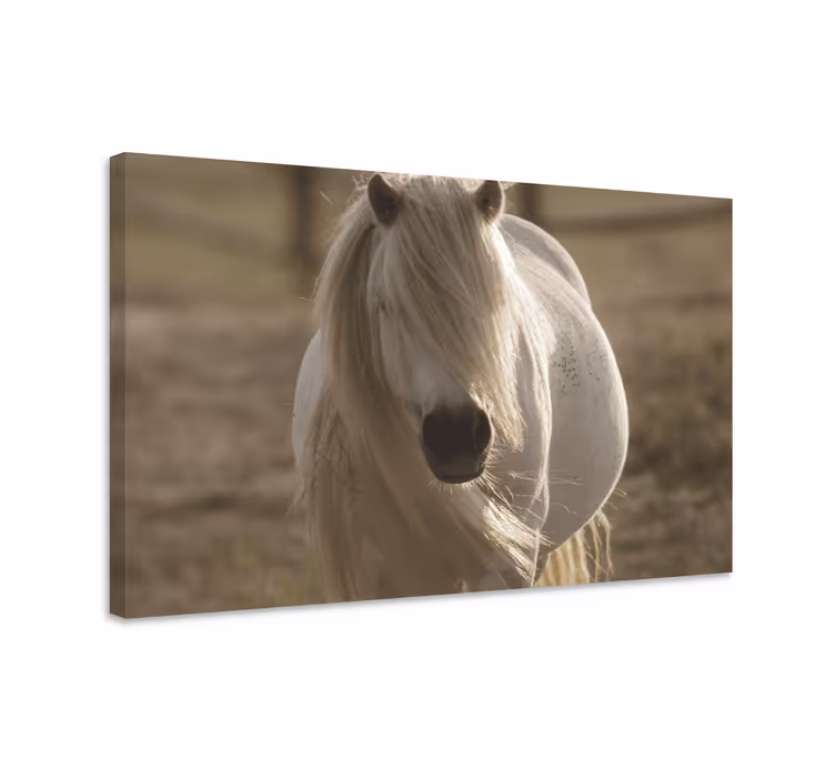 Pferde leinwand mit weißem gesicht pferd - TenStickers