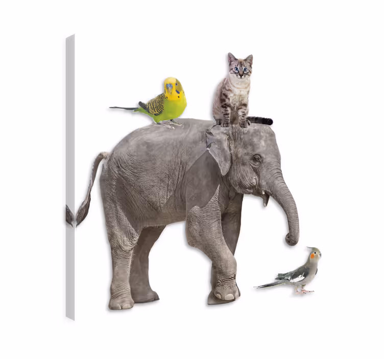 Wandbild elefant und verschiedene tiere - TenStickers